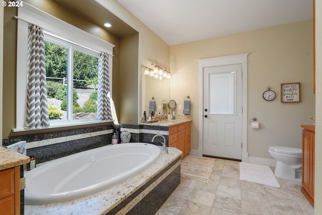 bathroom with vanity, a bathtub, and toilet