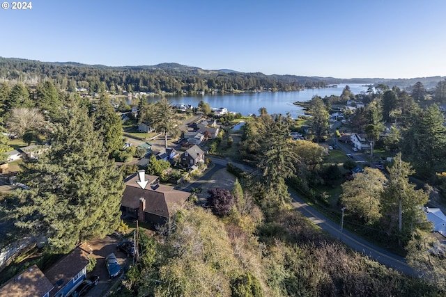 bird's eye view featuring a wooded view and a water view