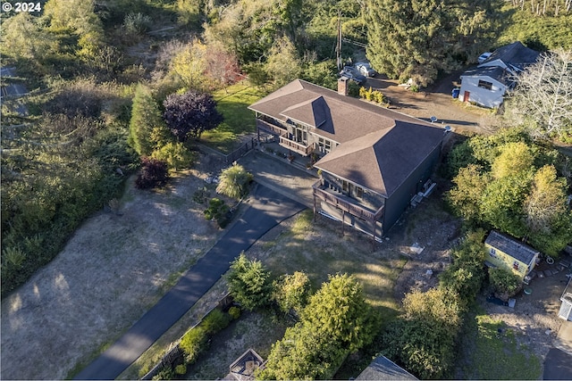drone / aerial view
