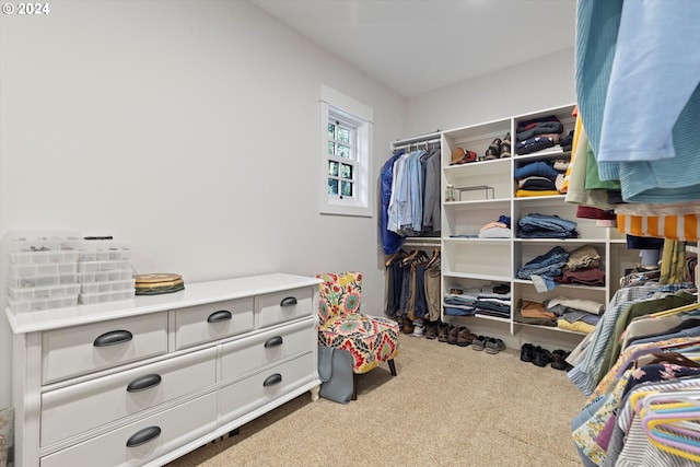 walk in closet with carpet floors