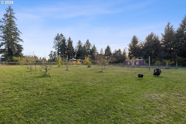 view of yard with a rural view