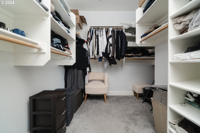 spacious closet with carpet floors