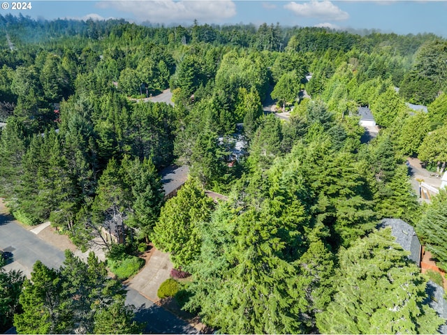 bird's eye view with a wooded view