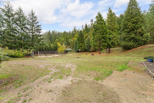 681 Hamlin Dr, Canyonville, OR 97417 - view of yard