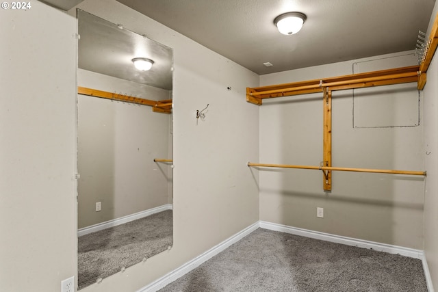 spacious closet featuring carpet flooring