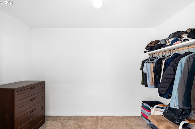 walk in closet featuring light colored carpet