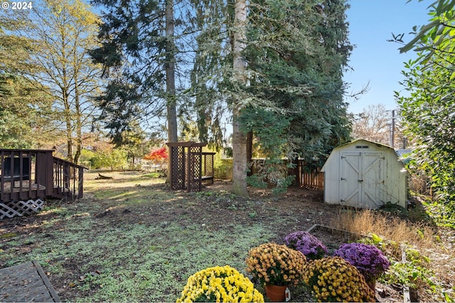 view of yard with a shed and a deck