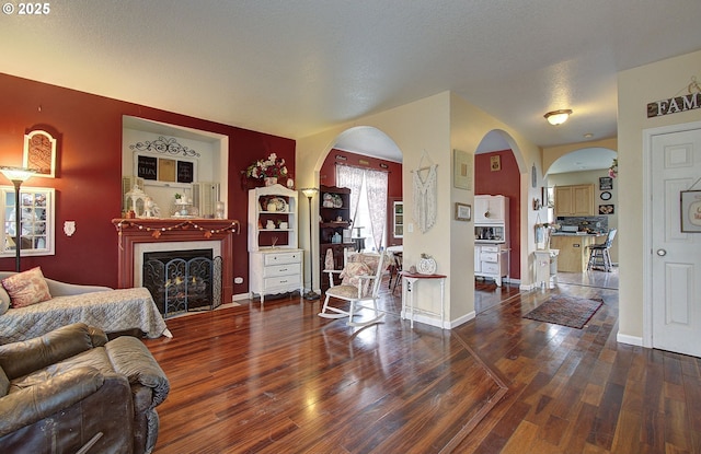 living room featuring dark hardwood / wood-style flooring