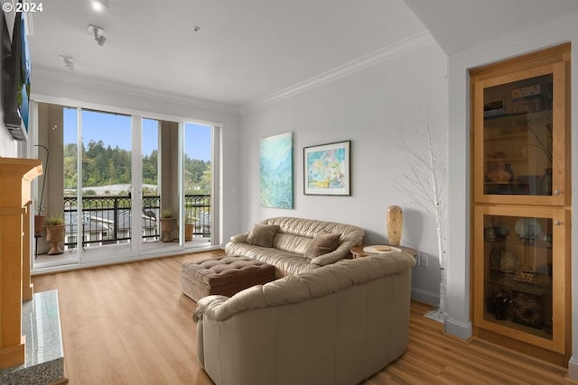 living room featuring ornamental molding and light hardwood / wood-style flooring