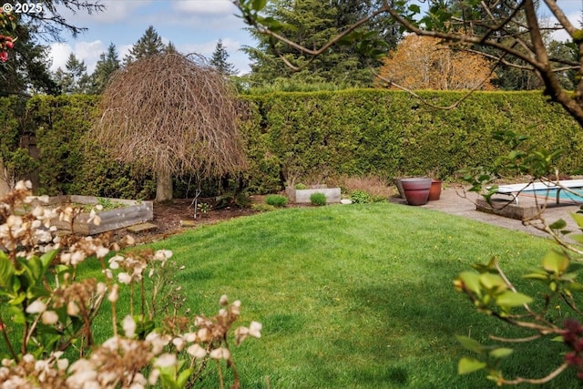 view of yard featuring a fenced in pool
