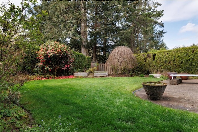 view of yard featuring fence and a patio