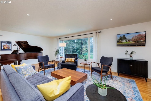 living room with light wood-type flooring