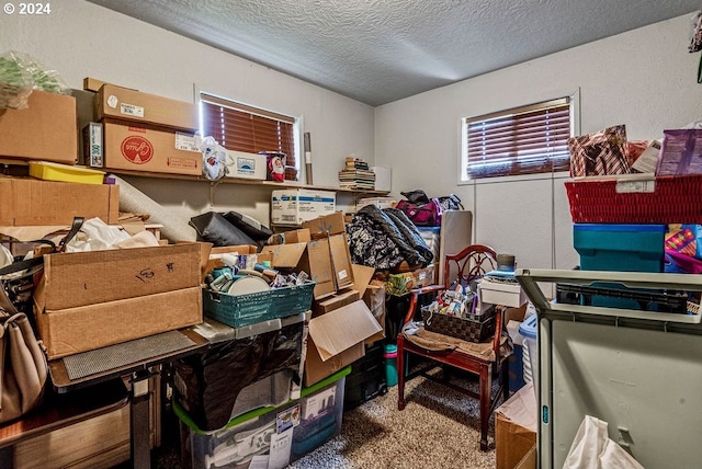 view of storage room