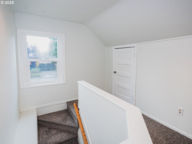 stairs with carpet flooring and lofted ceiling