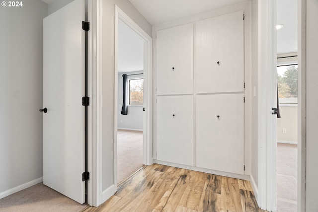 hallway with plenty of natural light and light wood-type flooring