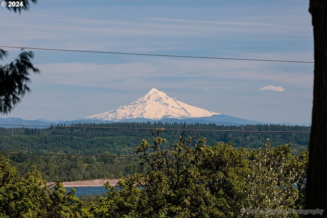 property view of mountains