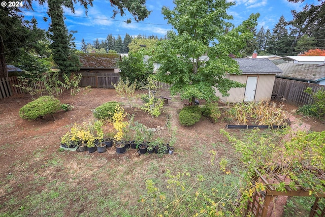 view of yard featuring a storage unit