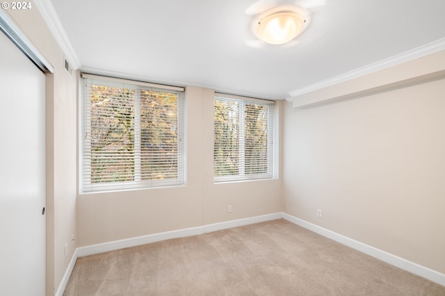 spare room with light carpet and ornamental molding