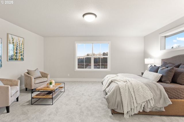 bedroom with carpet flooring