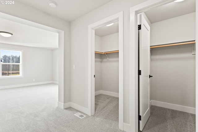 spacious closet featuring light colored carpet