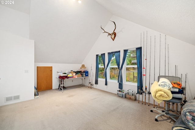 bonus room with light carpet, a textured ceiling, and vaulted ceiling