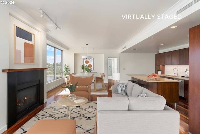 living room featuring sink, ornamental molding, light hardwood / wood-style floors, and rail lighting