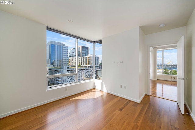 empty room with wood-type flooring