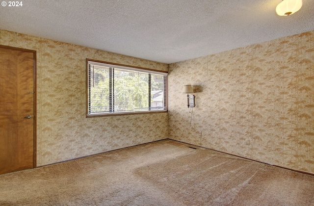 empty room with carpet floors and a textured ceiling