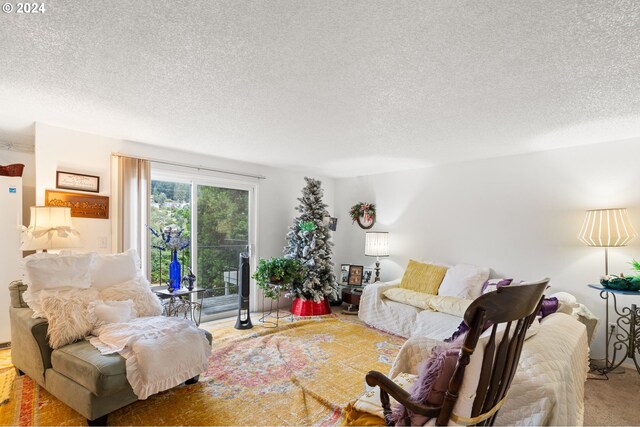 living room with a textured ceiling and carpet flooring