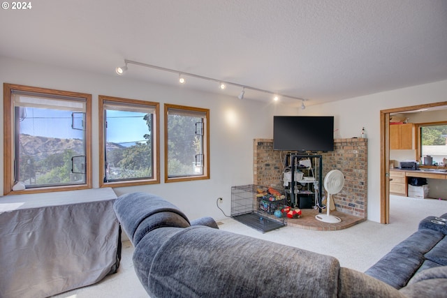 carpeted living room with a textured ceiling