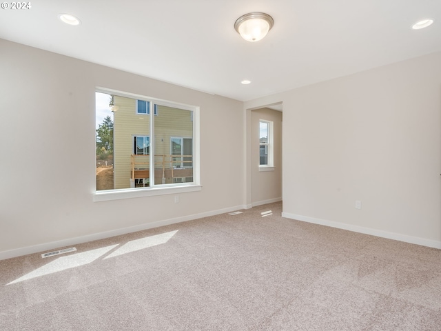 spare room with carpet and a wealth of natural light