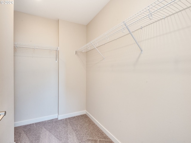 spacious closet featuring carpet floors