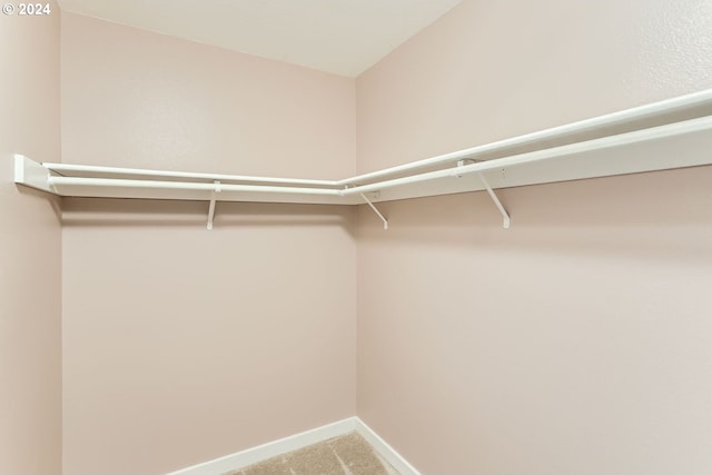 8550 SW Curry Dr Unit A, Wilsonville, OR 97070 - walk in closet with carpet flooring
