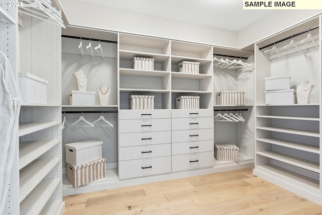 spacious closet featuring hardwood / wood-style flooring