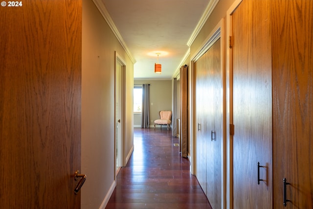 hallway with dark hardwood / wood-style floors and crown molding