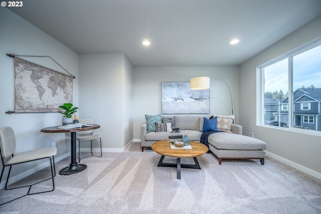 living area with carpet floors