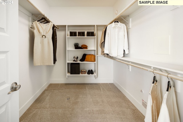 walk in closet featuring light colored carpet