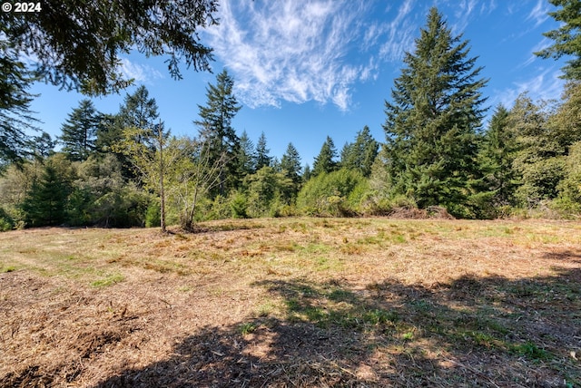 Listing photo 3 for Old County Rd, Brookings OR 97415