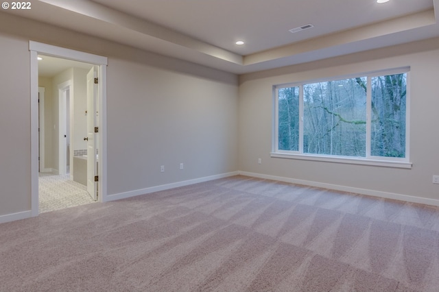 empty room featuring light carpet and a tray ceiling