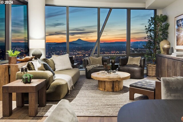 living room with wood-type flooring and a mountain view