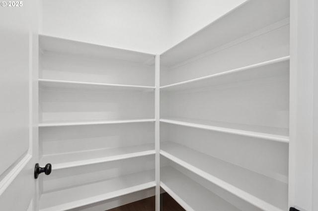 bedroom featuring dark colored carpet, a spacious closet, and a closet