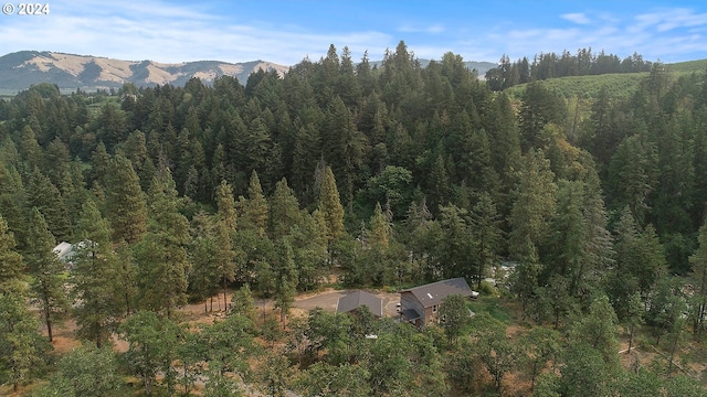 drone / aerial view with a mountain view