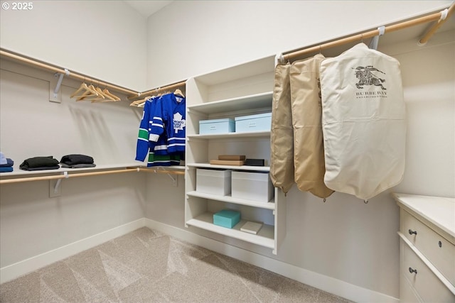 walk in closet with carpet floors