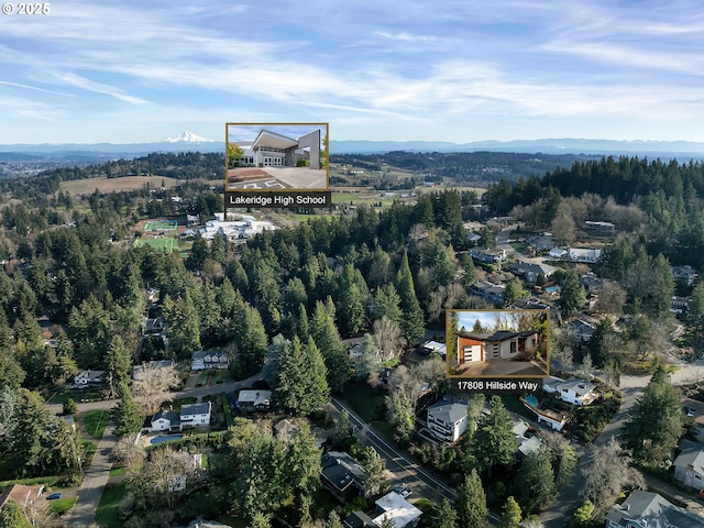 17808 Hillside Way, Lake Oswego, OR 97034 - aerial overview of property's location featuring a heavily wooded area and a mountain backdrop