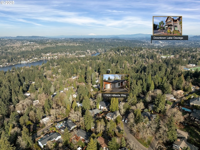 birds eye view of property with a water view and a wooded view