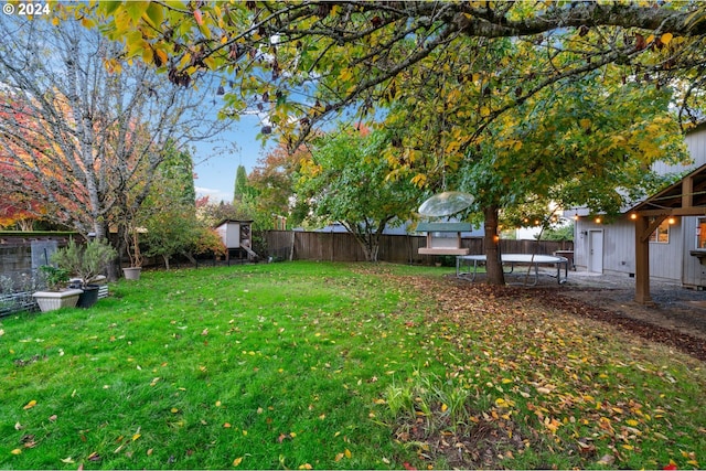 view of yard featuring a storage shed