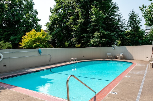 view of pool with a patio