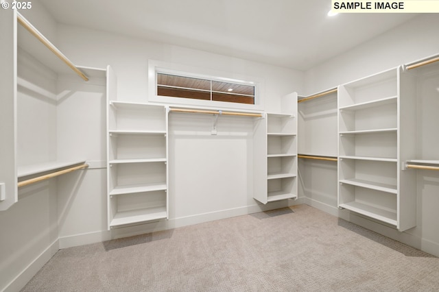 spacious closet featuring light colored carpet