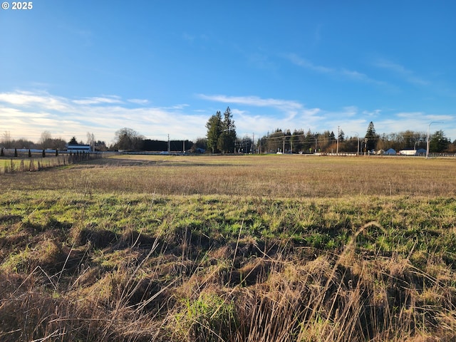 view of yard with a rural view