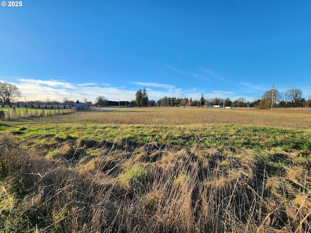 view of local wilderness featuring a rural view